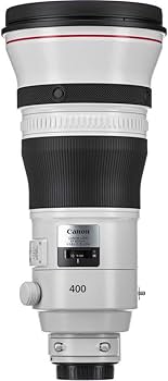 Canon EF 400mm f/2.8L is III USM Lens, Black (3045C002) : Amazon